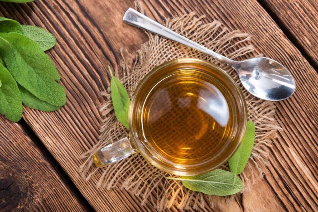 Користь чаю з шавлії — посилення фертильності та збудження пристрасті