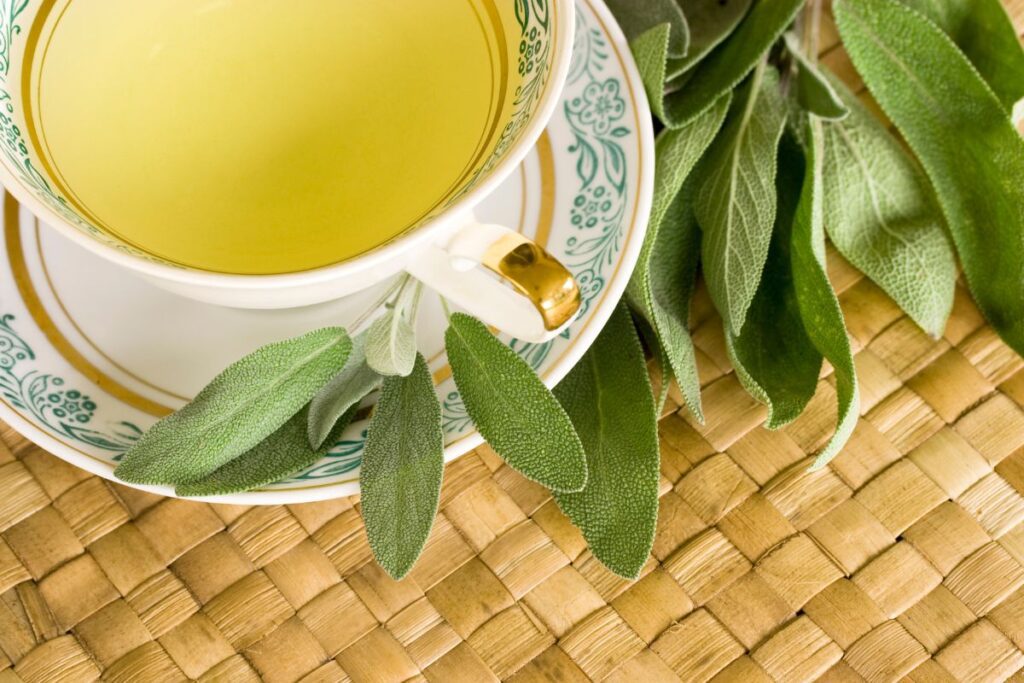 Користь чаю з шавлії — посилення фертильності та збудження пристрасті