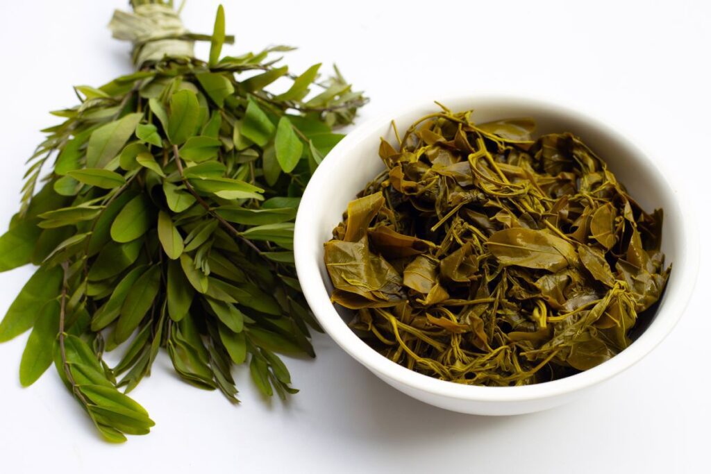 Користь чаю з сенни