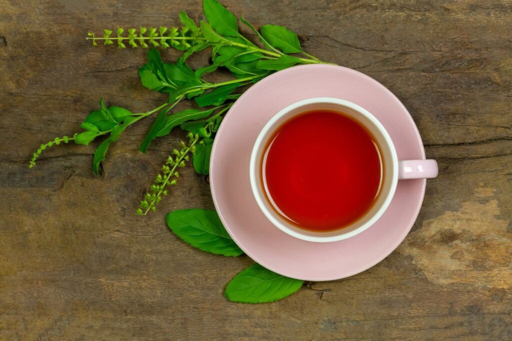 Користь чаю з туласи або священного базиліку: індійська трава для тисячі хвороб