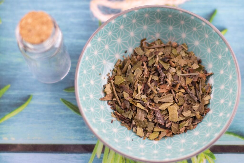 Користь чаю з ведмежої ягоди або Ува Урсі. Які хвороби він лікує?